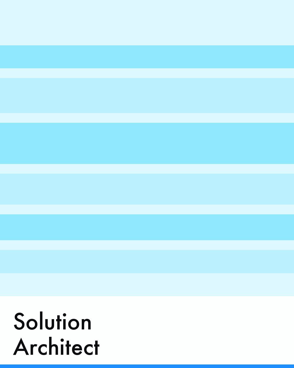 Solution Architect
