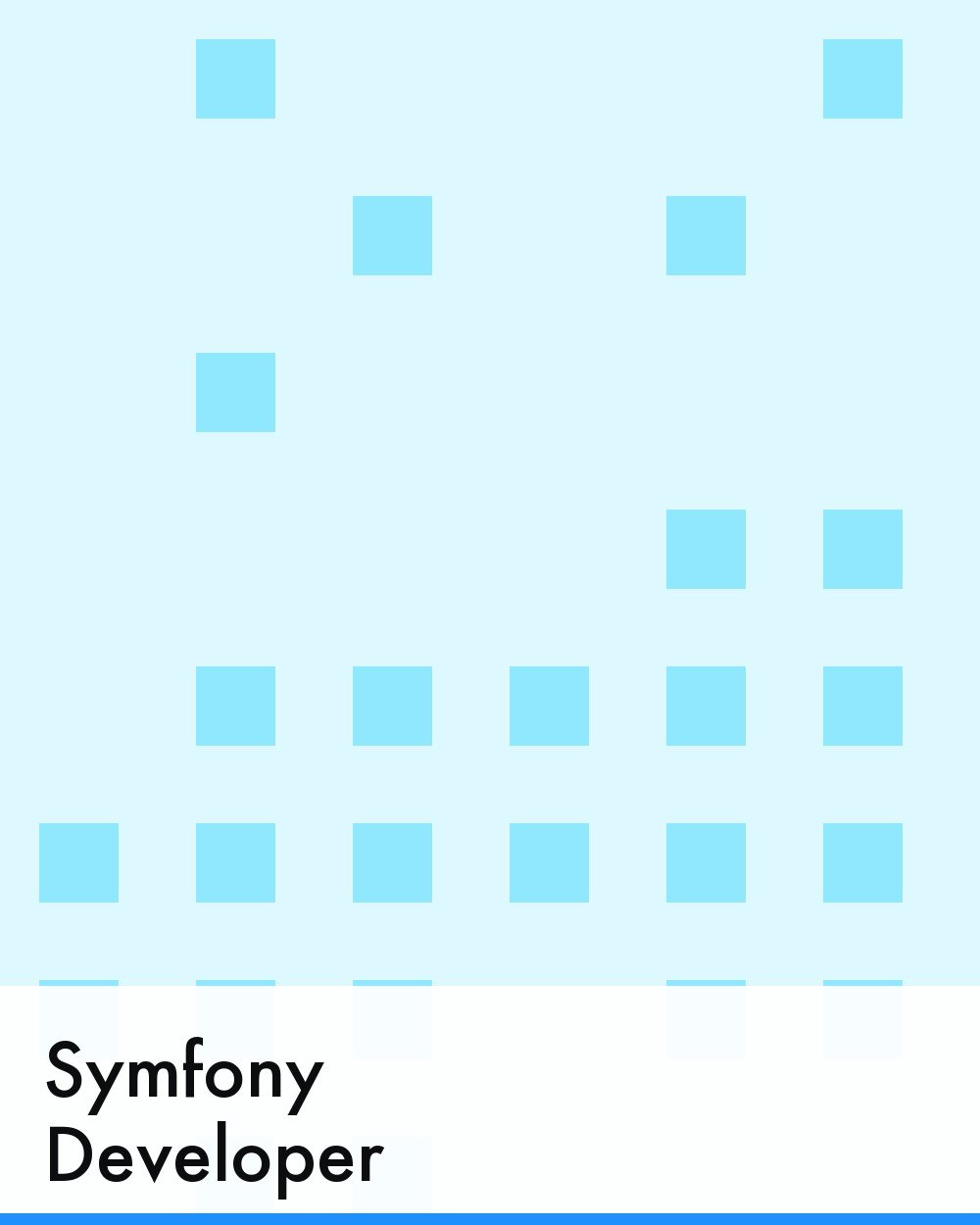 Symfony Developer