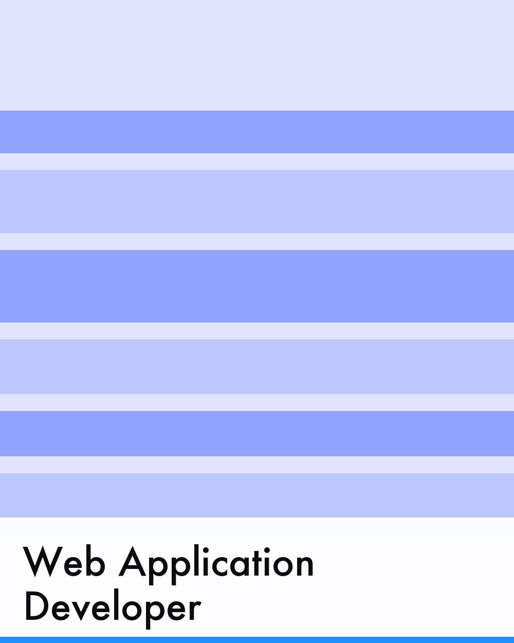 Web Application Developer