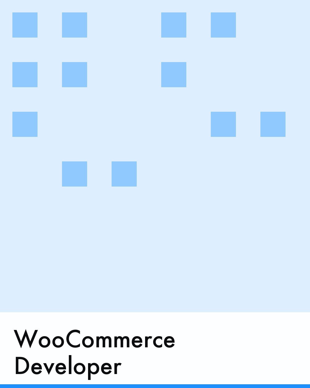 WooCommerce Developer