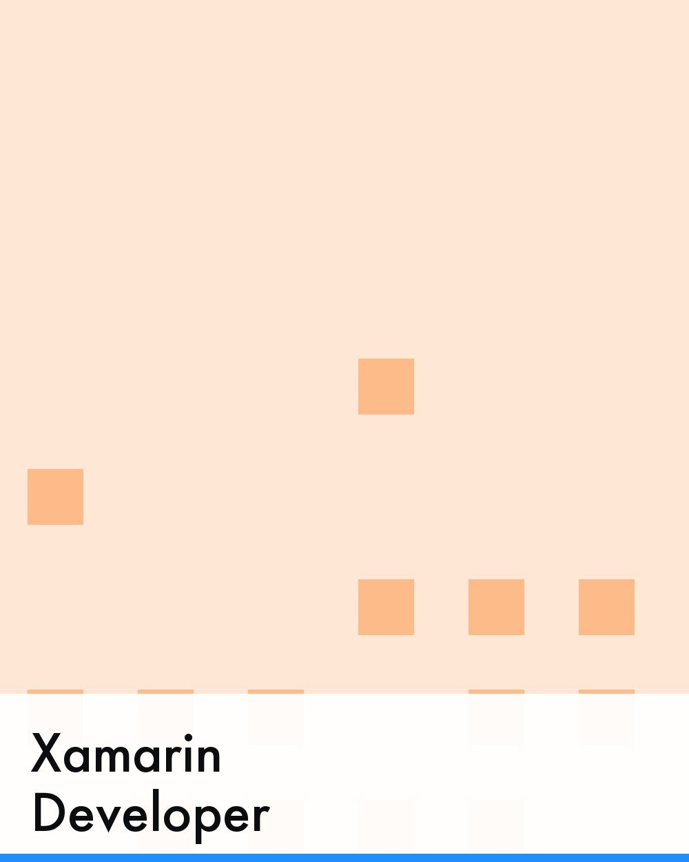 Xamarin Developer