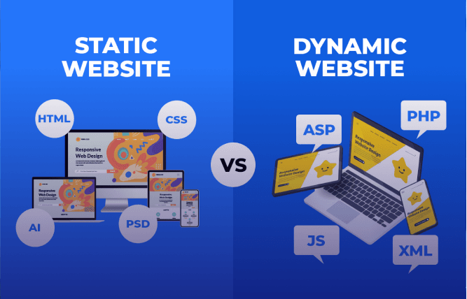 Types of websites  Static vs dynamic websites