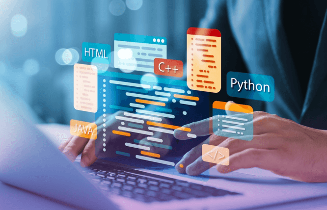 Web Design vs Web Development Understanding the Distinctions